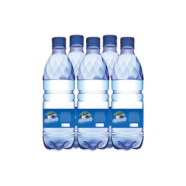 500 ml 1 Pack | PureBrook Waters Ltd